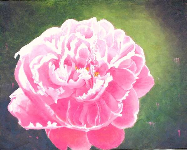 Peony Poster featuring the painting Spring Dazzle by Candace Antonelli