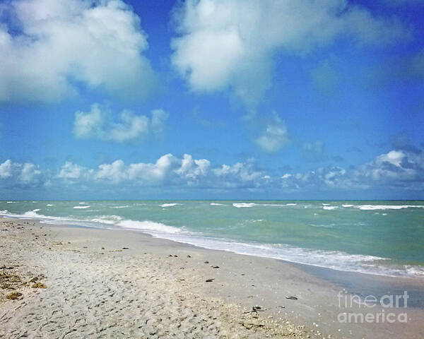 Florida Poster featuring the photograph Surroundings - Florida Beach Day by Chris Andruskiewicz