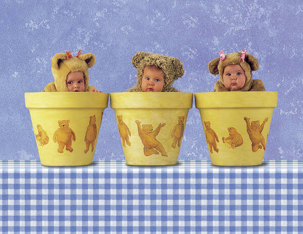 Flowerpots Poster featuring the photograph Teddy Bear Pots by Anne Geddes