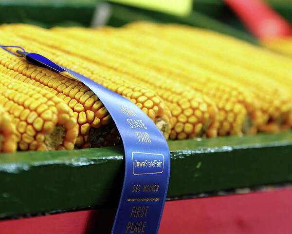 Corn Poster featuring the photograph That's A Winner by Lens Art Photography By Larry Trager