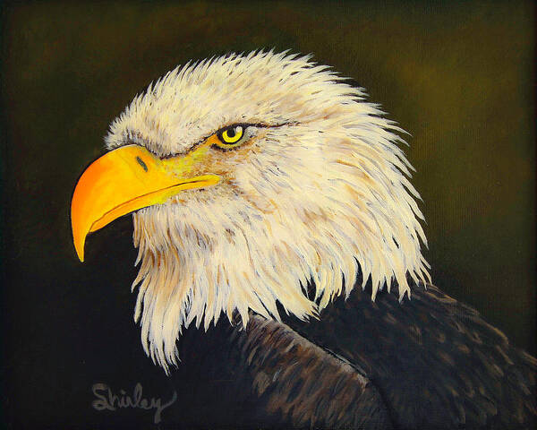 Eagle Poster featuring the painting The Eagle by Shirley Dutchkowski
