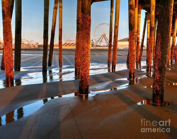 Ferris Wheel Poster featuring the photograph The Ferris Wheel by Steve Brown