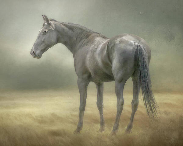 Horse Poster featuring the digital art The Loner by Steve Kelley