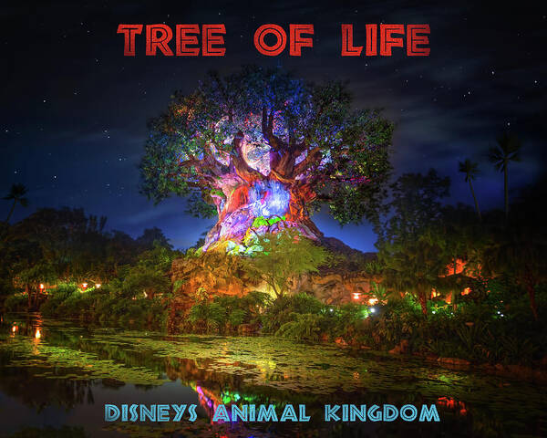 Magic Kingdom Poster featuring the photograph Tree of Life Poster by Mark Andrew Thomas