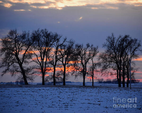 Tree Sunset Poster featuring the photograph Tree Sunset by Kathy M Krause