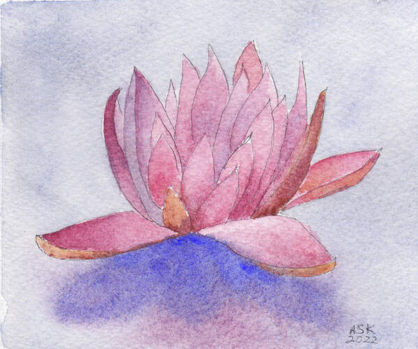 Waterlily Poster featuring the painting Waterlily Calm by Anne Katzeff