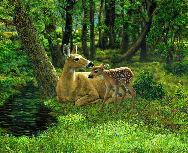 Deer Poster featuring the painting Whitetail Deer - First Spring by Crista Forest
