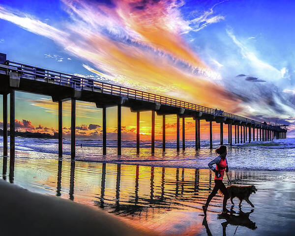 Dog Poster featuring the photograph Whos Walking Whom, Scripps Pier, San Diego, California by Don Schimmel