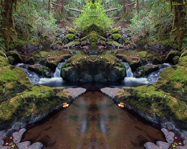 Nature Poster featuring the photograph Wilson Creek Paradise Mirror #1 by Ben Upham III