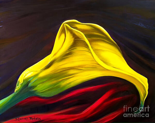 Painting Poster featuring the painting Yellow Calla Lily on Red Velvet by Sherrell Rodgers