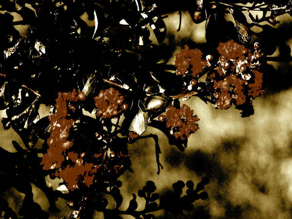 Abstract Brown Flowers Poster featuring the mixed media Brown Flowers by Gayle Price Thomas
