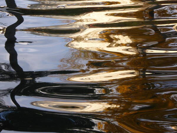 Reflections'water Effects Poster featuring the photograph Fall reflections in the pond by Nili Tochner