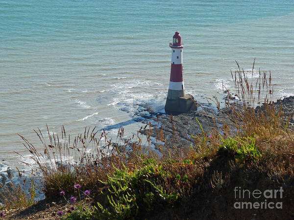 Lighthouse Beachy Head Poster featuring the photograph Beachy Head Lighthouse - East Sussex - England by Phil Banks