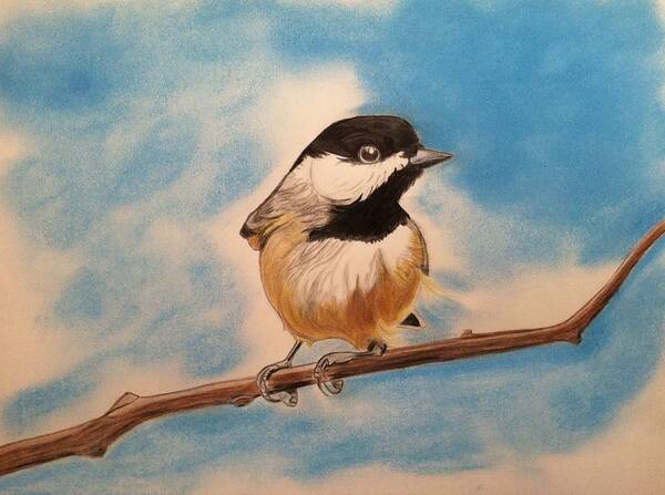 Birds Poster featuring the drawing Black Capped Chickadee #1 by Tony Clark