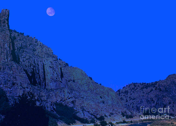 Moon Poster featuring the photograph Blue Moon by Lydia Holly
