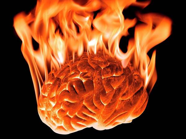 Artwork Poster featuring the photograph Burning Human Brain #1 by Victor De Schwanberg