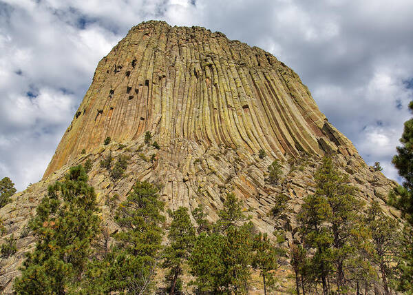 Landscape Poster featuring the photograph Devils Tower #3 by John M Bailey