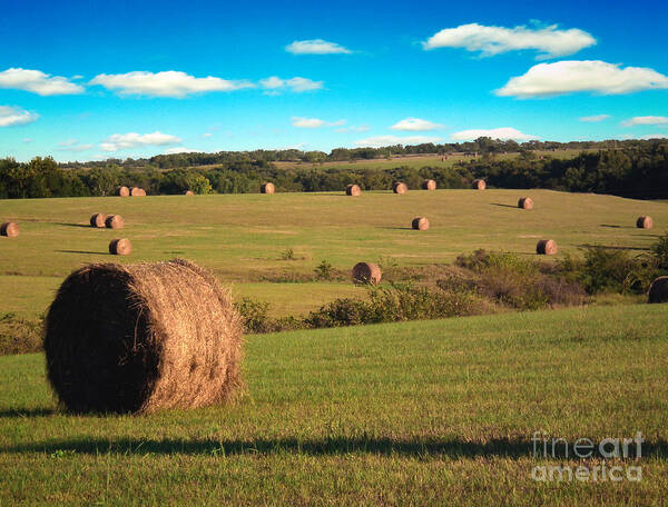 Kansas Poster featuring the photograph Hay Fields #1 by Rex E Ater