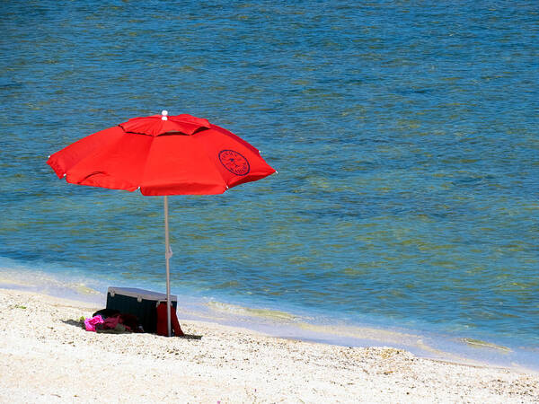 Beach Poster featuring the photograph Red Umbrella by Terry Ann Morris