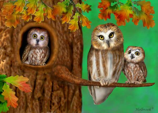 Northern Saw-whet Owls Poster featuring the digital art Serendipity by Glenn Holbrook