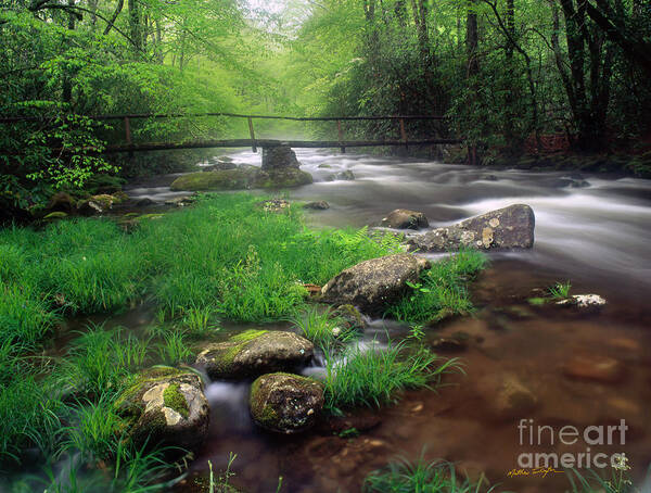 Stream Poster featuring the photograph Smoky Mountain Stream 2009 #1 by Matthew Turlington