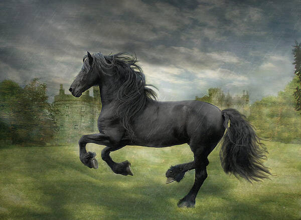 Friesian Horses Poster featuring the photograph The Gathering Storm by Fran J Scott