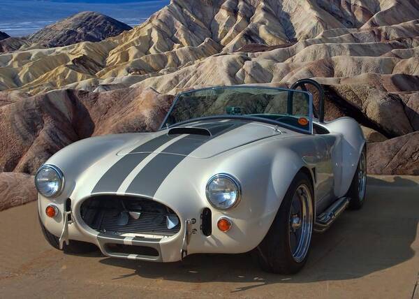 1965 Poster featuring the photograph 1965 Shelby Cobra Replica 427 by Tim McCullough