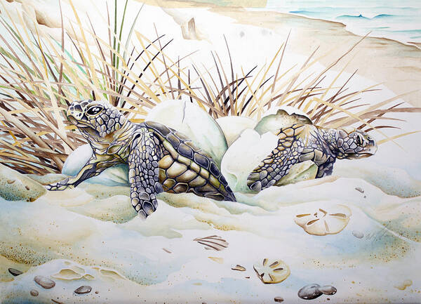 Loggerhead Turtles Poster featuring the painting Breaking Out #2 by William Love