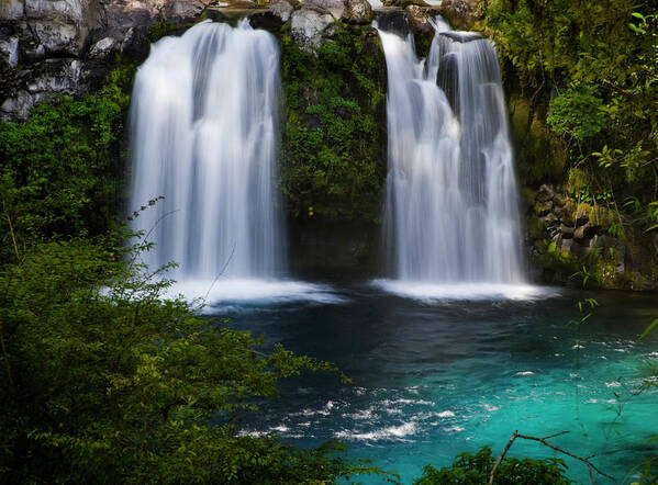 Andes Poster featuring the photograph Chile South America Waterfalls At Ojos #2 by Scott T. Smith