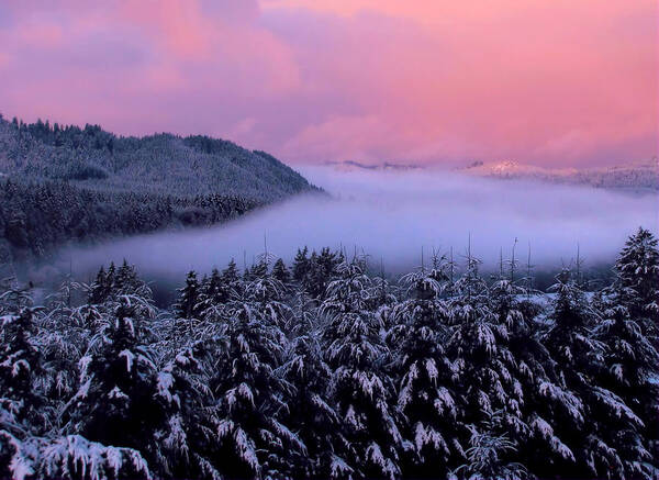 Oregon Poster featuring the photograph Pink Sunrise With Foggy River by KATIE Vigil
