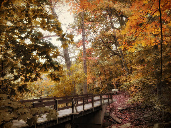 Autumn Poster featuring the photograph Autumn Awaits #3 by Jessica Jenney