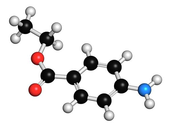 Benzocaine Poster featuring the photograph Benzocaine Local Anesthetic Drug Molecule #3 by Molekuul