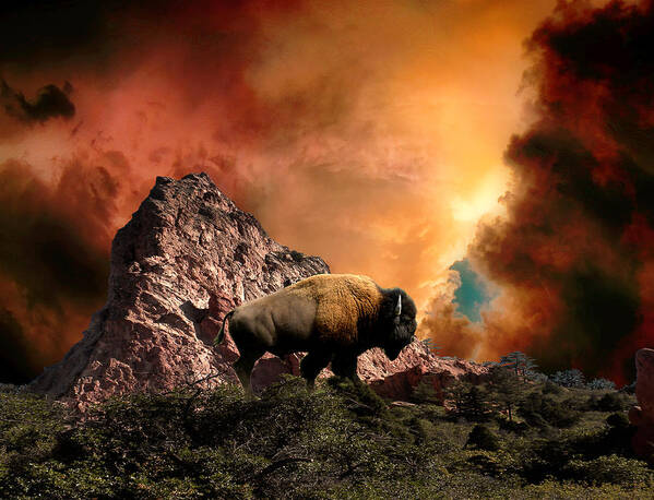 Animal Poster featuring the photograph 3508 by Peter Holme III