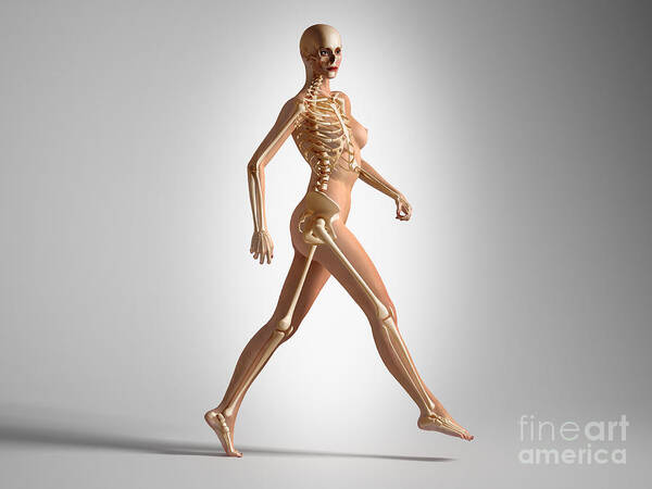 Three Dimensional Poster featuring the digital art 3d Rendering Of A Naked Woman Walking by Leonello Calvetti