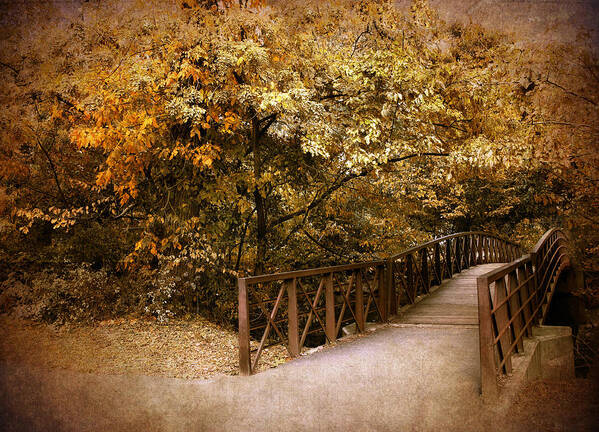 Autumn Poster featuring the photograph Autumn Crossing #5 by Jessica Jenney