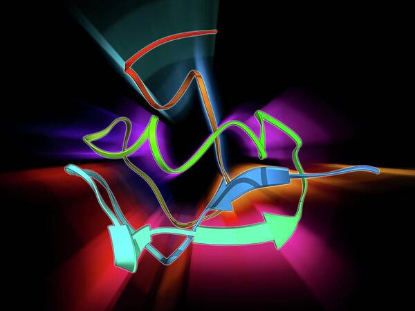 Alpha Helix Poster featuring the photograph Enzyme Catalysing Dna Recombination #5 by Laguna Design