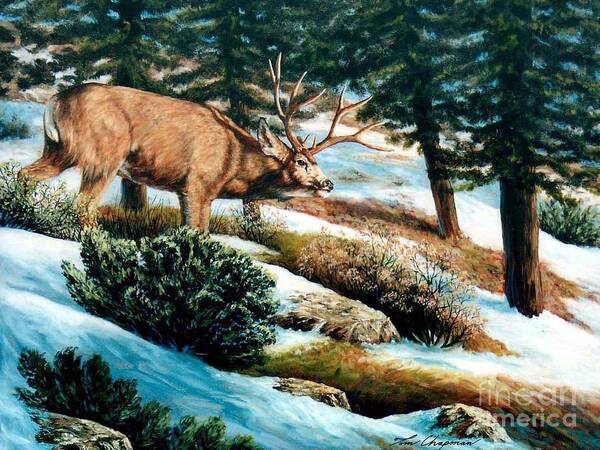 Mule Deer Poster featuring the painting A Sense of Danger by Tom Chapman