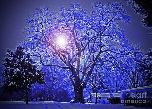 A Snow Glow Evening Poster featuring the photograph A Snow Glow Evening by Lydia Holly