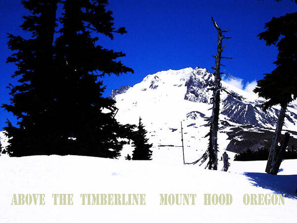 Mt. Hood Poster featuring the digital art Above The Timberline Mt Hood Oregon by Glenna McRae