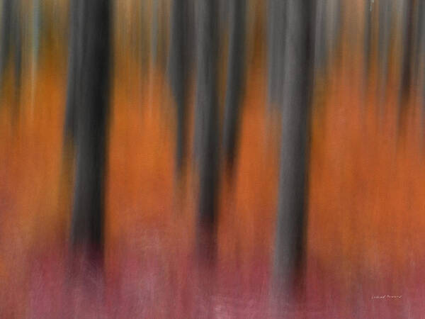 Abstract Poster featuring the photograph Abstract Forest 4 by Leland D Howard