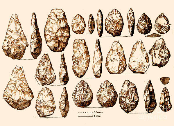 Acheulian Poster featuring the photograph Acheulean Hand-axes, Lower Paleolithic by Science Source