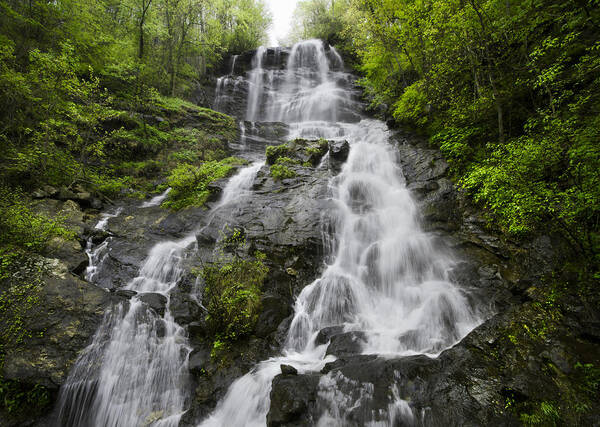 Appalachia Poster featuring the photograph Amicalola Falls by Debra and Dave Vanderlaan