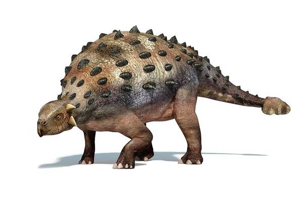 Prehistoric Era Poster featuring the digital art Ankylosaur Dinosaur, Artwork by Leonello Calvetti