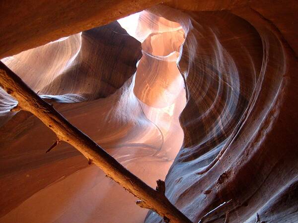 Antelope Canyon Poster featuring the photograph Antelope Canyon by Dany Lison