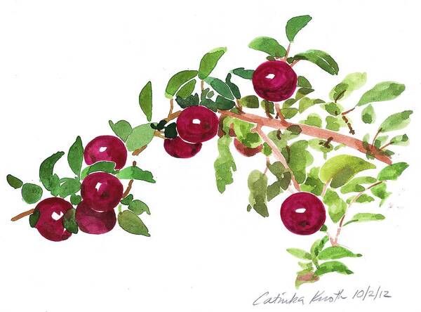 Botanical Poster featuring the painting Apple Bough watercolor by Catinka Knoth