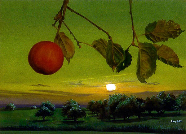 Apples Poster featuring the painting Apple Trees by Robert Tracy