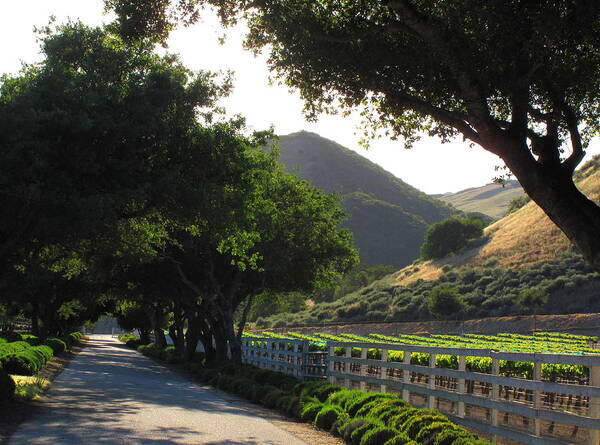 Arroyo Seco Poster featuring the photograph Arroyo Seco by Derek Dean