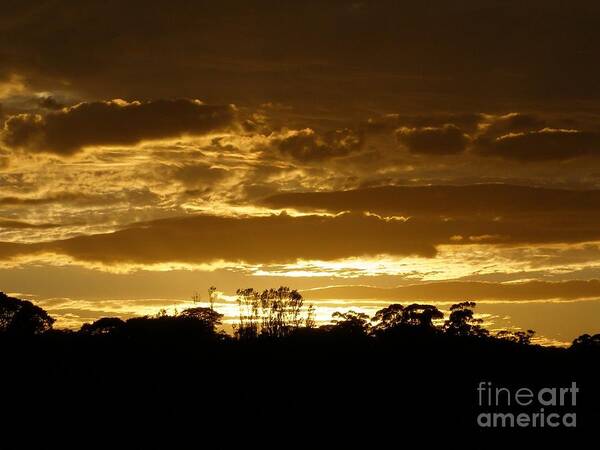 Sunrise Poster featuring the photograph Australian Sunrise by Bev Conover