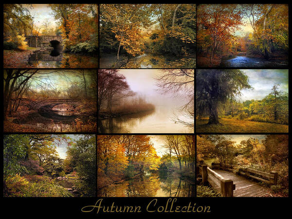 Poster Poster featuring the photograph Autumn Collage by Jessica Jenney
