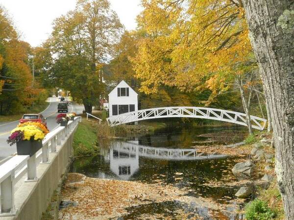 Autumn Poster featuring the photograph Autumn Colors at Somesville Bridge Mount Desert Island Maine by Lena Hatch